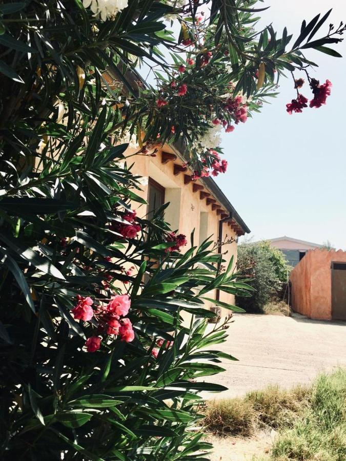 Agriturismo Funtan'Arva Loculi Exterior photo